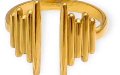 Napkin Rings Set of 4