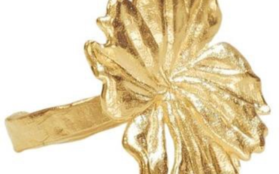 Napkin Rings Set of 4