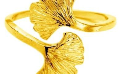 Napkin Rings Set of 4